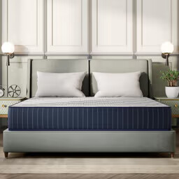 Wakefit Spinecore Firm Plus ActiveCool Mattress