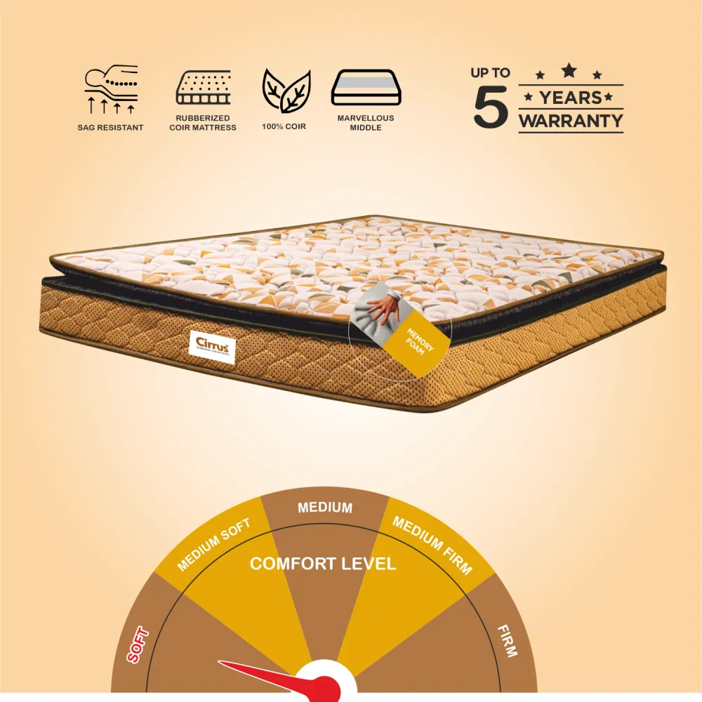 Bond Plush Memory  Foam Pillow Top Mattress